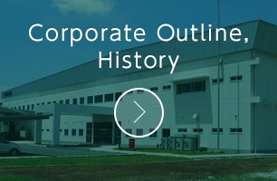 Corporate outline, History